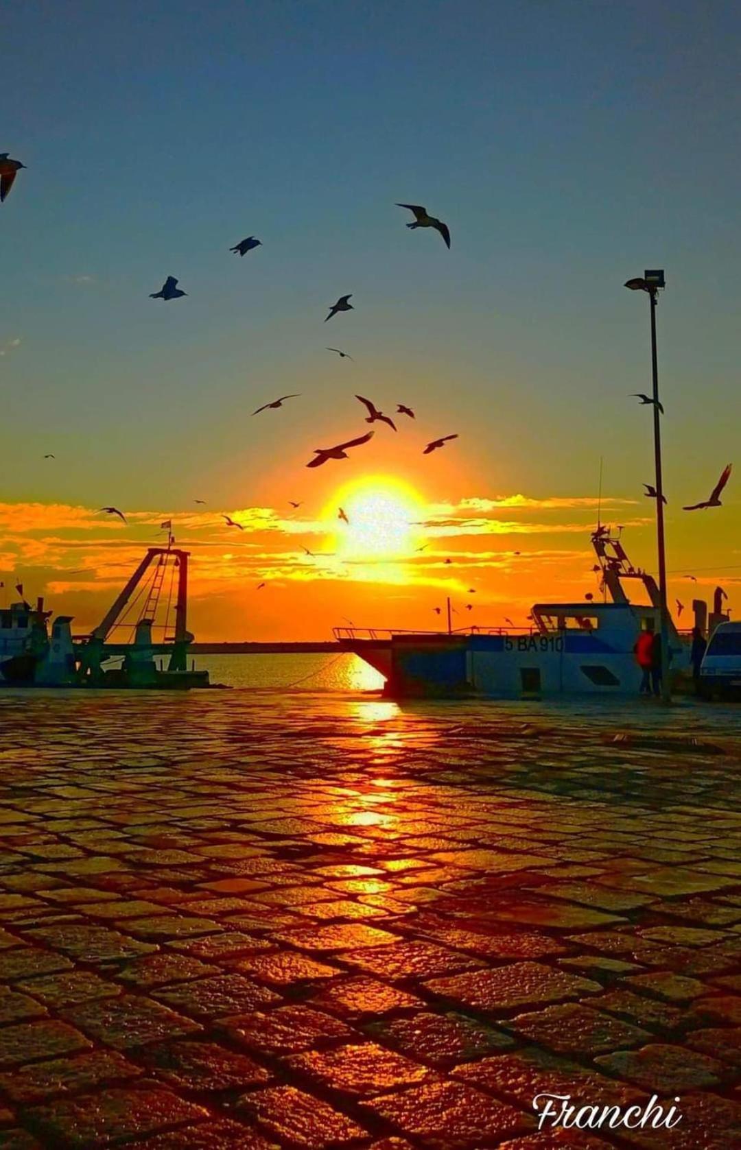 Vacanze Al San Domenico Mola di Bari Exterior foto